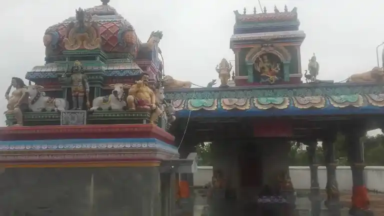 Arulmigu Pidari Uyyavanthar Temple, Rayaregunathapuram - 622506 அருள்மிகு பிடாரி உய்யவந்தார் திருக்கோயில், Rayaregunathapuram - 622506, Pudukkottai - Ancient Temple Architecture and History Image 7