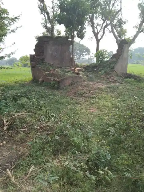 Arulmigu Pidari Vagaira Temple, Kokkur - 609801 Temple