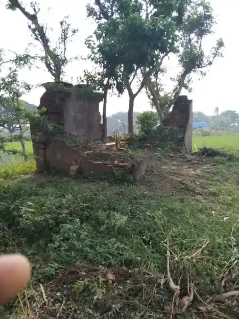 Arulmigu Pidari Vagaira Temple, Kokkur - 609801 அருள்மிகு பிடாரி வகையறா திருக்கோயில், கொக்கூர் கோட்டூர் வழி, Kokkur - 609801, Mayiladuthurai - Ancient Temple Architecture and History Image 2