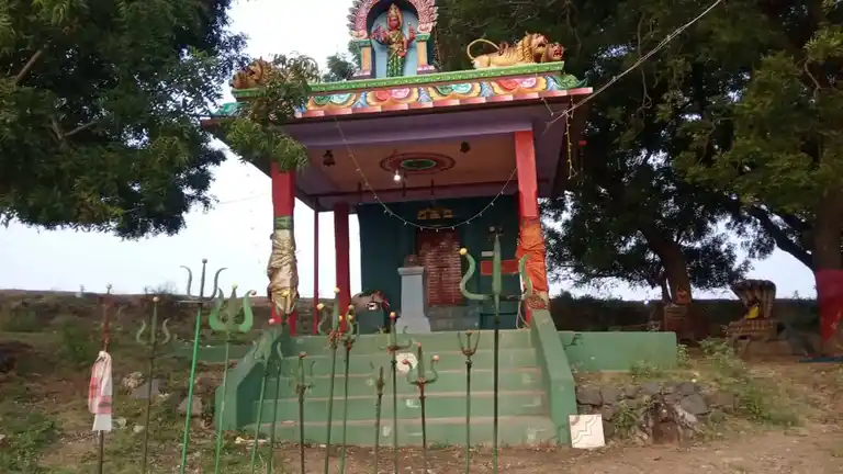 Arulmigu Pidari Vagaiyara Temple, Gunamangalam - 606107
