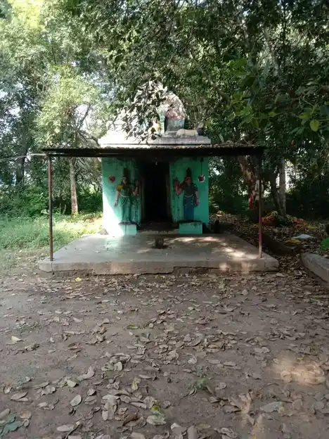 Arulmigu Pidari Vagaiyara Temple, Thagarai - 606201