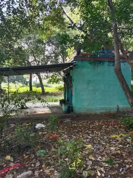 Arulmigu Pidari Vagaiyara Temple, Thagarai - 606201 அருள்மிகு பிடாரி வெங்கடேசபெருமாள் வகையறா திருக்கோயில், Thagarai - 606201, Kallakurichi - Ancient Temple Architecture and History Image 2