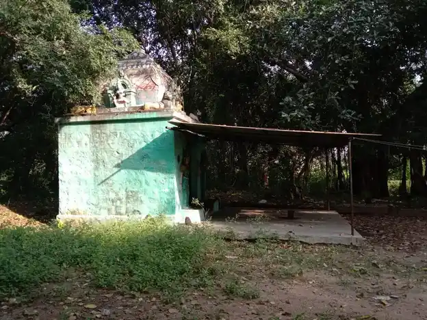 Arulmigu Pidari Vagaiyara Temple, Thagarai - 606201 அருள்மிகு பிடாரி வெங்கடேசபெருமாள் வகையறா திருக்கோயில், Thagarai - 606201, Kallakurichi - Ancient Temple Architecture and History Image 3