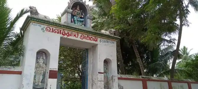Arulmigu Pidari Vanathayi Yamman Temple, Thiruvarangapatti - 621005 அருள்மிகு பிடாரி வனதாயிஅம்மன் திருக்கோயில், திருவரங்கப்பட்டி - 621005, Thiruchirappalli - Ancient Temple Architecture and History Image 5