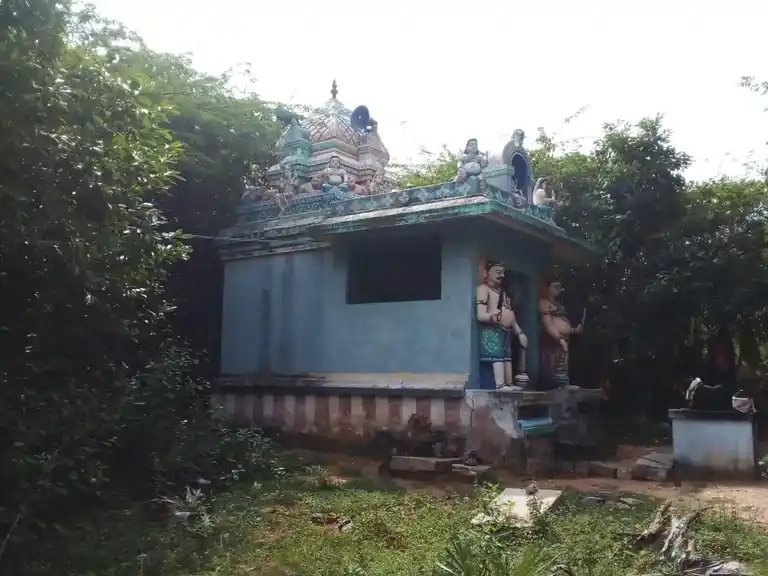 Arulmigu Pidari Veeramakaliyamman Temple, Nallur - 622002
