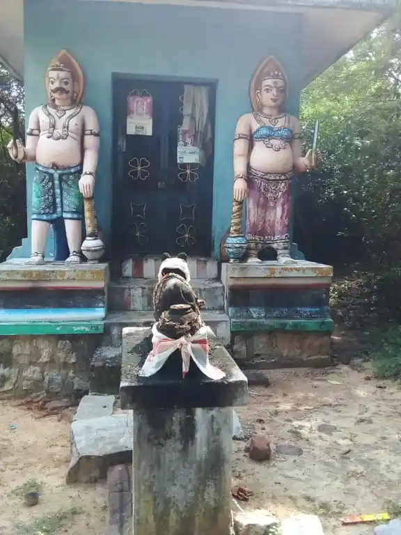 Arulmigu Pidari Veeramakaliyamman Temple, Nallur - 622002 அருள்மிகு பிடாரி வீரமாகாளியம்மன் திருக்கோயில், Nallur - 622002, Pudukkottai - Ancient Temple Architecture and History Image 3