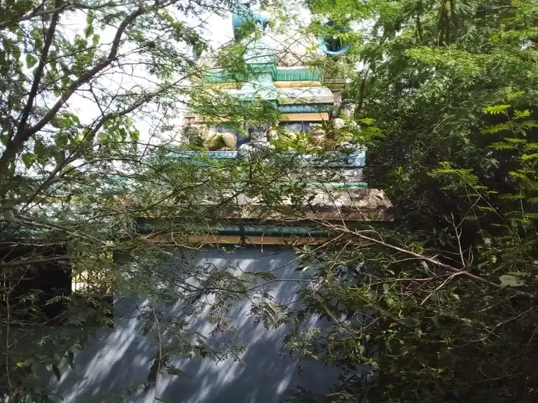 Arulmigu Pidari Veeramakaliyamman Temple, Nallur - 622002 அருள்மிகு பிடாரி வீரமாகாளியம்மன் திருக்கோயில், Nallur - 622002, Pudukkottai - Ancient Temple Architecture and History Image 4
