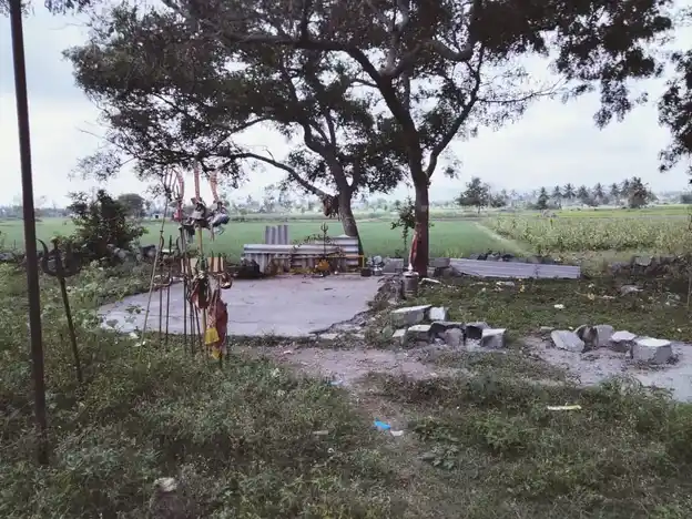 Arulmigu Pidariamman Tempe, Varagoor - 636809 அருள்மிகு பிடாரியம்மன் திருக்கோயில், Varagoor - 636809, Dharmapuri - Ancient Temple Architecture and History Image 2