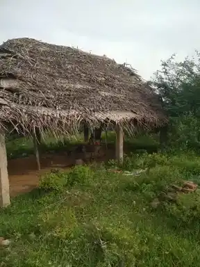 Arulmigu Pidariamman Temple, Alathur - 610203 அருள்மிகு பிடாரியம்மன் திருக்கோயில், ஆலாத்தூா் - 610203, Thiruvarur - Ancient Temple Architecture and History Image 2