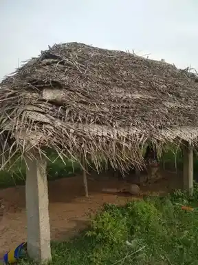 Arulmigu Pidariamman Temple, Alathur - 610203 அருள்மிகு பிடாரியம்மன் திருக்கோயில், ஆலாத்தூா் - 610203, Thiruvarur - Ancient Temple Architecture and History Image 4