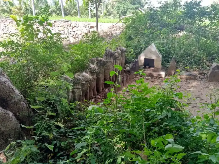 Arulmigu Pidariamman Temple, Ayilpatty - 636202 அருள்மிகு பிடாரியம்மன் திருக்கோயில், Ayilpatty - 636202, Namakkal - Ancient Temple Architecture and History Image 4