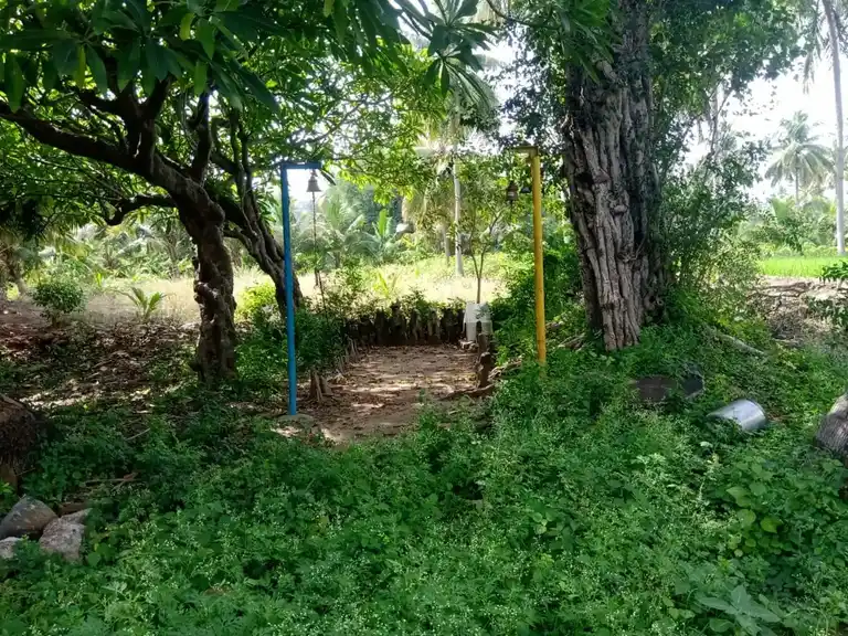 Arulmigu Pidariamman Temple, Ayilpatty - 636202 அருள்மிகு பிடாரியம்மன் திருக்கோயில், Ayilpatty - 636202, Namakkal - Ancient Temple Architecture and History Image 5