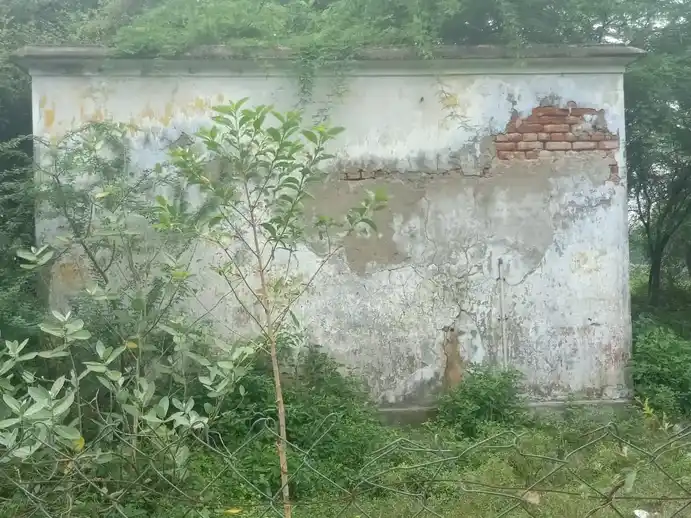 Arulmigu Pidariamman Temple, Elanangur - 608302 அருள்மிகு பிடாரியம்மன் திருக்கோயில், Elanangur - 608302, Cuddalore - Ancient Temple Architecture and History Image 3