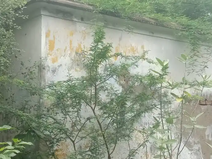 Arulmigu Pidariamman Temple, Elanangur - 608302 அருள்மிகு பிடாரியம்மன் திருக்கோயில், Elanangur - 608302, Cuddalore - Ancient Temple Architecture and History Image 4