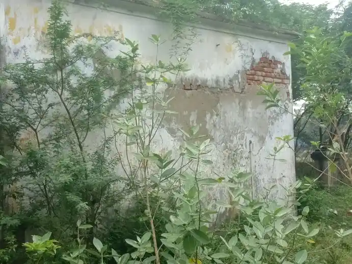 Arulmigu Pidariamman Temple, Elanangur - 608302 அருள்மிகு பிடாரியம்மன் திருக்கோயில், Elanangur - 608302, Cuddalore - Ancient Temple Architecture and History Image 5