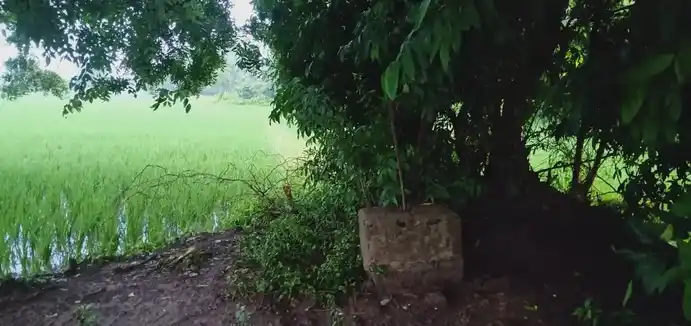 Arulmigu Pidariamman Temple, Elangambur - 608302 Temple
