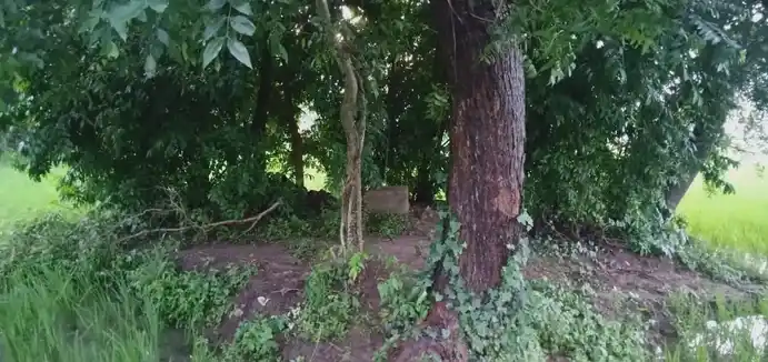 Arulmigu Pidariamman Temple, Elangambur - 608302 அருள்மிகு பிடாரியம்மன் திருக்கோயில், Elangambur - 608302, Cuddalore - Ancient Temple Architecture and History Image 3