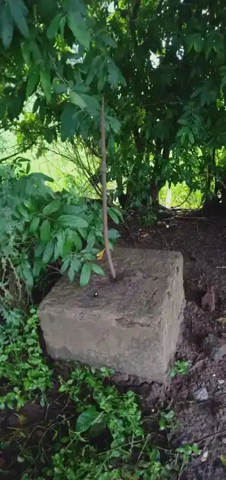 Arulmigu Pidariamman Temple, Elangambur - 608302 அருள்மிகு பிடாரியம்மன் திருக்கோயில், Elangambur - 608302, Cuddalore - Ancient Temple Architecture and History Image 4