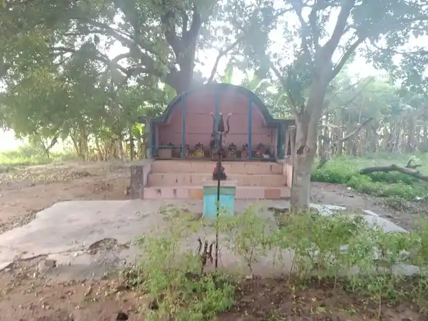 Arulmigu Pidariamman Temple, Erraiyur - 606111 அருள்மிகு பிடாரி அம்மன் திருக்கோயில், Erraiyur - 606111, Cuddalore - Ancient Temple Architecture and History Image 4