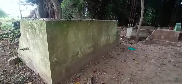 Arulmigu Pidariamman Temple, Kadalangudi - 609501 அருள்மிகு பிடாரியம்மன் திருக்கோயில், Kadalangudi - 609501, Thiruvarur - Ancient Temple Architecture and History Image 2