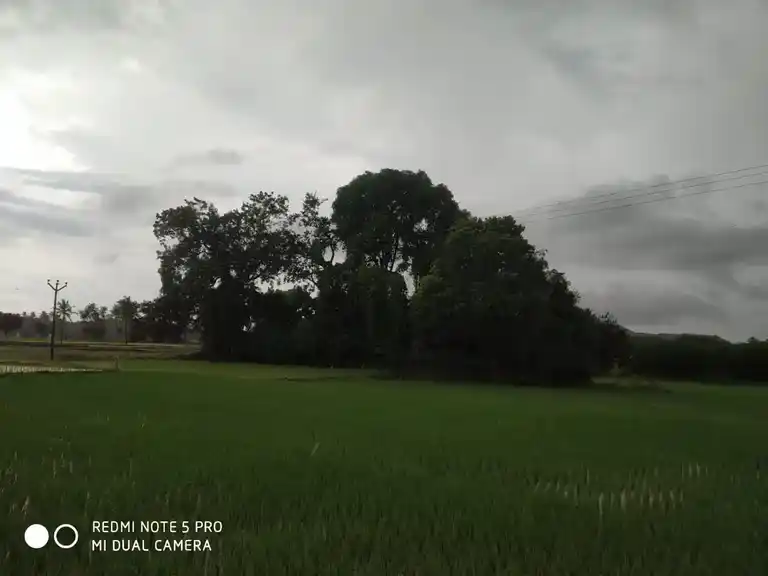 Arulmigu Pidariamman Temple, Kadayampatti - 636305 Temple