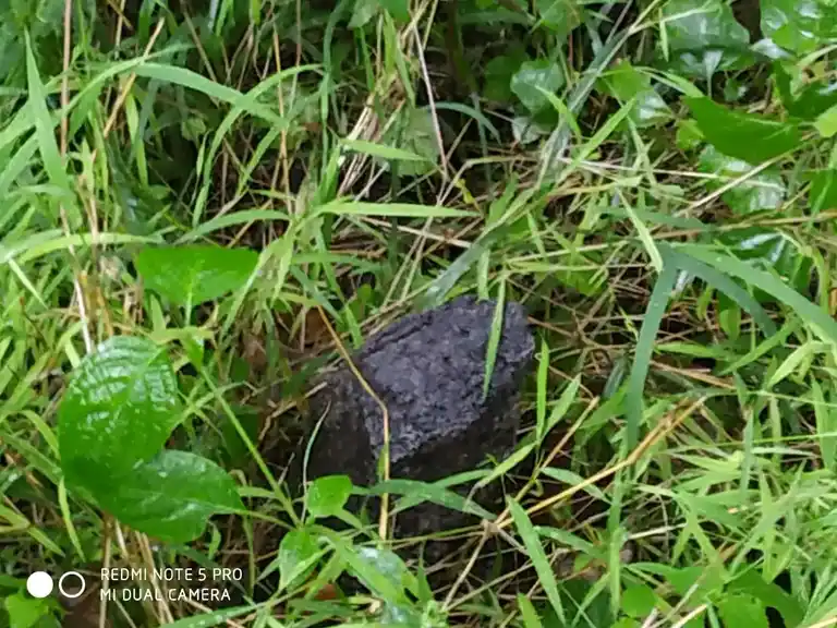 Arulmigu Pidariamman Temple, Kadayampatti - 636305 Arulmigu Pidariamman Temple, கடையம்பட்டி - 636305, Salem - Ancient Temple Architecture and History Image 4