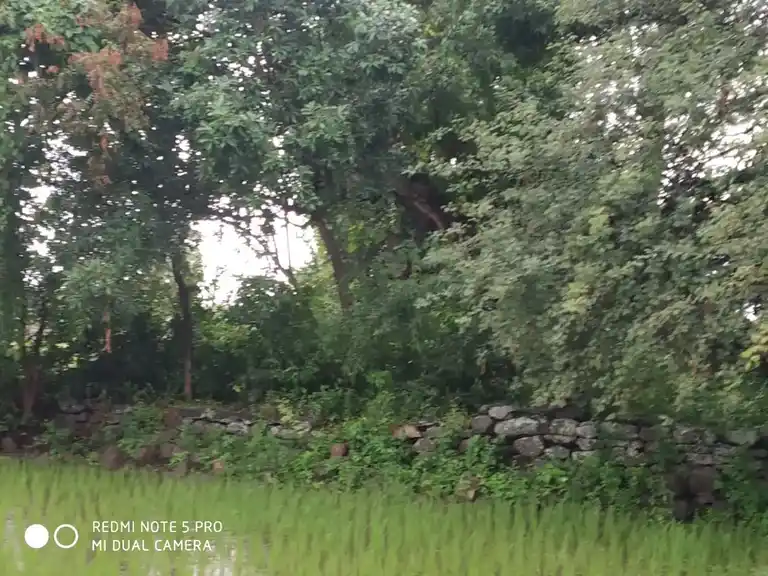 Arulmigu Pidariamman Temple, Kadayampatti - 636305 Arulmigu Pidariamman Temple, கடையம்பட்டி - 636305, Salem - Ancient Temple Architecture and History Image 6