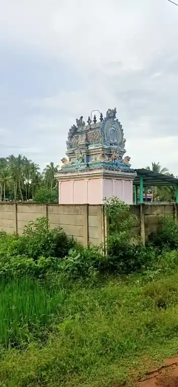 Arulmigu Pidariamman Temple, Kalyanaodai - 614903