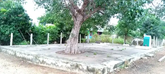 Arulmigu Pidariamman Temple, Konalai - 621005 Temple