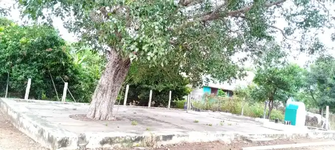 Arulmigu Pidariamman Temple, Konalai - 621005 Arulmigu Pidariamman temple, Konalai - 621005, Thiruchirappalli - Ancient Temple Architecture and History Image 8