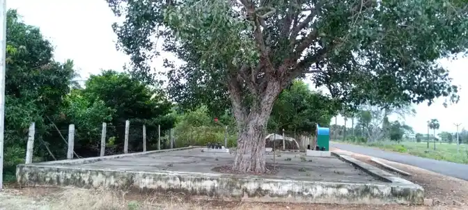 Arulmigu Pidariamman Temple, Konalai - 621005 Arulmigu Pidariamman temple, Konalai - 621005, Thiruchirappalli - Ancient Temple Architecture and History Image 9