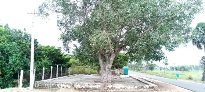 Arulmigu Pidariamman Temple, Konalai - 621005 Arulmigu Pidariamman temple, Konalai - 621005, Thiruchirappalli - Ancient Temple Architecture and History Image 10