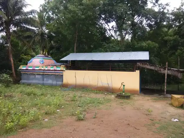 Arulmigu Pidariamman Temple, Krishnapuram - 612401 Arulmigu Pidariamman Temple, Krishnapuram - 612401, Thanjavur - Ancient Temple Architecture and History Image 9
