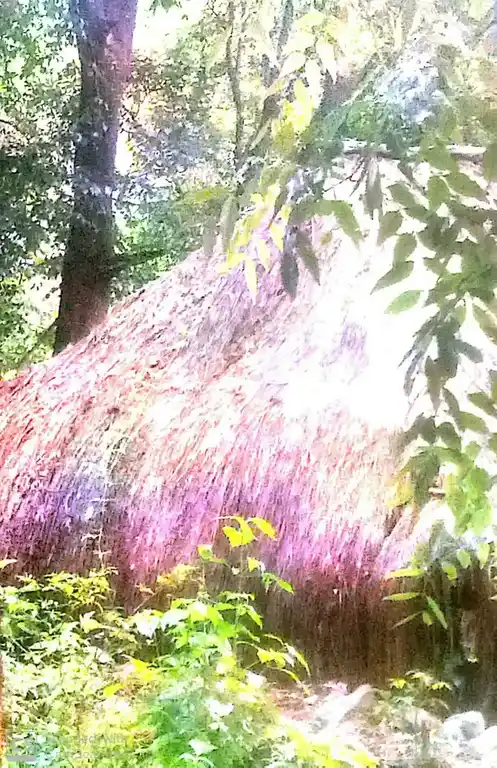 Arulmigu Pidariamman Temple, Kulavanthipatty, Devanur Nadu - 637411