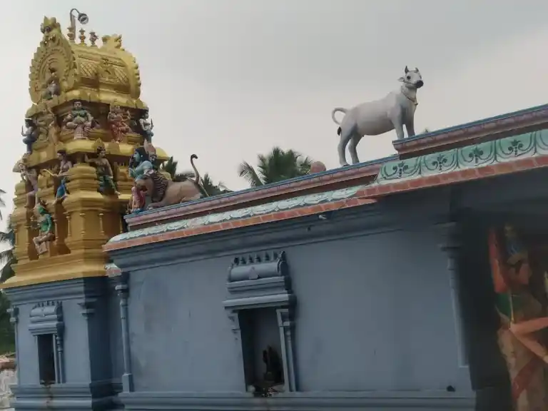 Arulmigu Pidariamman Temple, Manivilundhan, Manivilundhan - 636121 அருள்மிகு பிடாரி அம்மன் திருக்கோயில், Manivilundhan, Manivilundhan - 636121, Salem - Ancient Temple Architecture and History Image 6