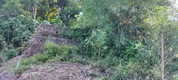 Arulmigu Pidariamman Temple (Mariyamman), Thalaignayaru - 609201 அருள்மிகு பிடாரி அம்மன் ஆலயம், Thalaignanayiru - 609201, Mayiladuthurai - Ancient Temple Architecture and History Image 3