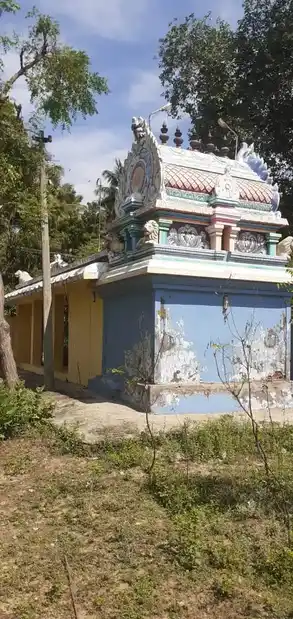 Arulmigu Pidariamman Temple, Nadukaveri, Nadukaveri - 613101 அருள்மிகு மாரியம்மன் திருக்கோயில், Nadukaveri, Nadukaveri - 613101, Thanjavur - Ancient Temple Architecture and History Image 6