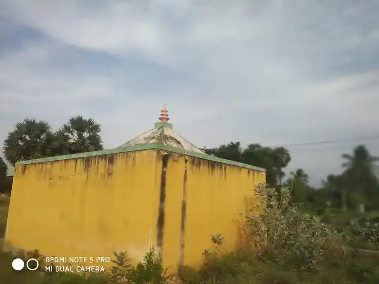 Arulmigu Pidariamman Temple, Naduppatti - 636351 அருள்மிகு பிடாரியம்மன் திருக்கோயில், Naduppatti - 636351, Salem - Ancient Temple Architecture and History Image 2
