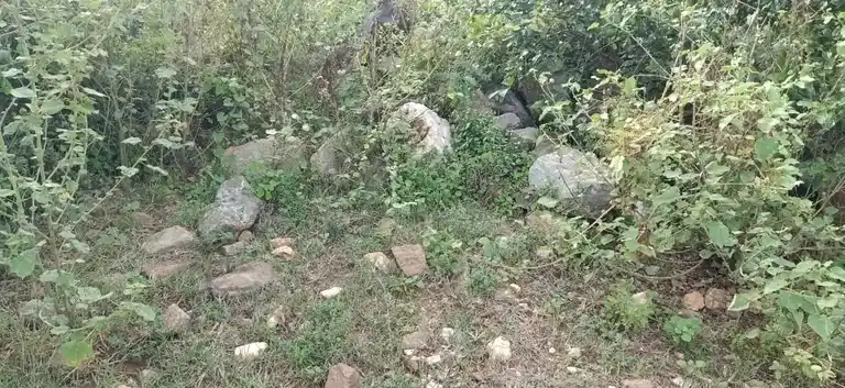 Arulmigu Pidariamman Temple, Nallurpatty - 636305