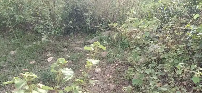 Arulmigu Pidariamman Temple, Nallurpatty - 636305 அருள்மிகு பிடாரியம்மன் திருக்கோயில், Nallurpatty - 636305, Salem - Ancient Temple Architecture and History Image 4