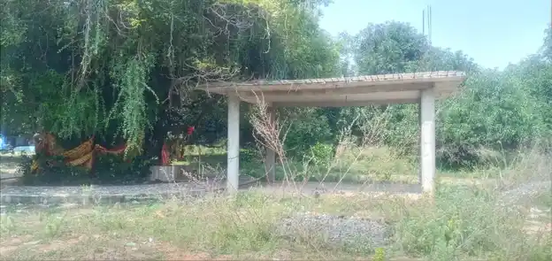 Arulmigu Pidariamman Temple, Near Lake View, Poovalai - 601201 அருள்மிகு பிடாரி அம்மன் திருக்கோயில், Near Lake View, Poovalai - 601201, Tiruvallur - Ancient Temple Architecture and History Image 2