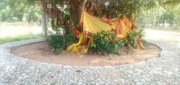 Arulmigu Pidariamman Temple, Near Lake View, Poovalai - 601201 அருள்மிகு பிடாரி அம்மன் திருக்கோயில், Near Lake View, Poovalai - 601201, Tiruvallur - Ancient Temple Architecture and History Image 3