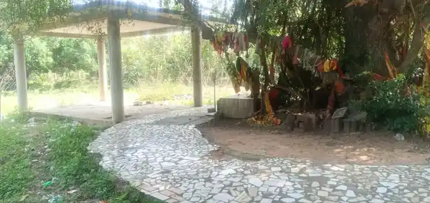 Arulmigu Pidariamman Temple, Near Lake View, Poovalai - 601201 அருள்மிகு பிடாரி அம்மன் திருக்கோயில், Near Lake View, Poovalai - 601201, Tiruvallur - Ancient Temple Architecture and History Image 4