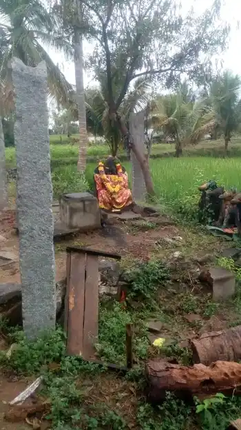 Arulmigu Pidariamman Temple, Pachanampatti - 636455 Temple