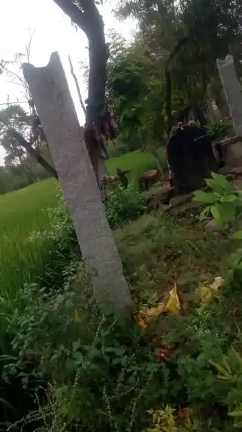 Arulmigu Pidariamman Temple, Pachanampatti - 636455 Arulmigu Pidariamman Temple, Pachanampatti - 636455, Salem - Ancient Temple Architecture and History Image 2