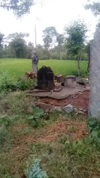 Arulmigu Pidariamman Temple, Pachanampatti - 636455 Arulmigu Pidariamman Temple, Pachanampatti - 636455, Salem - Ancient Temple Architecture and History Image 3