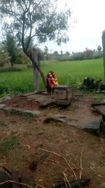 Arulmigu Pidariamman Temple, Pachanampatti - 636455 Arulmigu Pidariamman Temple, Pachanampatti - 636455, Salem - Ancient Temple Architecture and History Image 4
