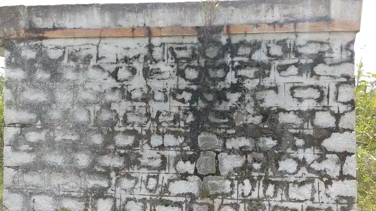 Arulmigu Pidariamman Temple, Palayam - 636807 அருள்மிகு பிடாரியம்மன் திருக்கோயில், Palayam - 636807, Dharmapuri - Ancient Temple Architecture and History Image 2