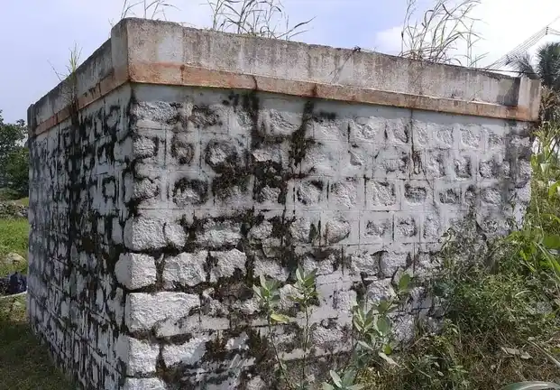 Arulmigu Pidariamman Temple, Palayam - 636807 அருள்மிகு பிடாரியம்மன் திருக்கோயில், Palayam - 636807, Dharmapuri - Ancient Temple Architecture and History Image 3