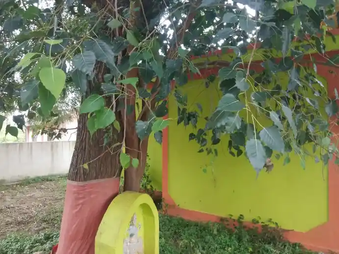 Arulmigu Pidariamman Temple, Parandapalli - 635206 Arulmigu Pidariamman Temple, Parandapalli - 635206, Krishnagiri - Ancient Temple Architecture and History Image 3